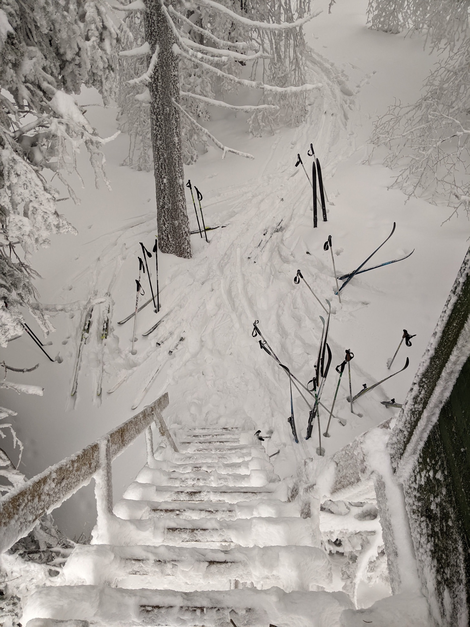 PXL 20230203 095314893