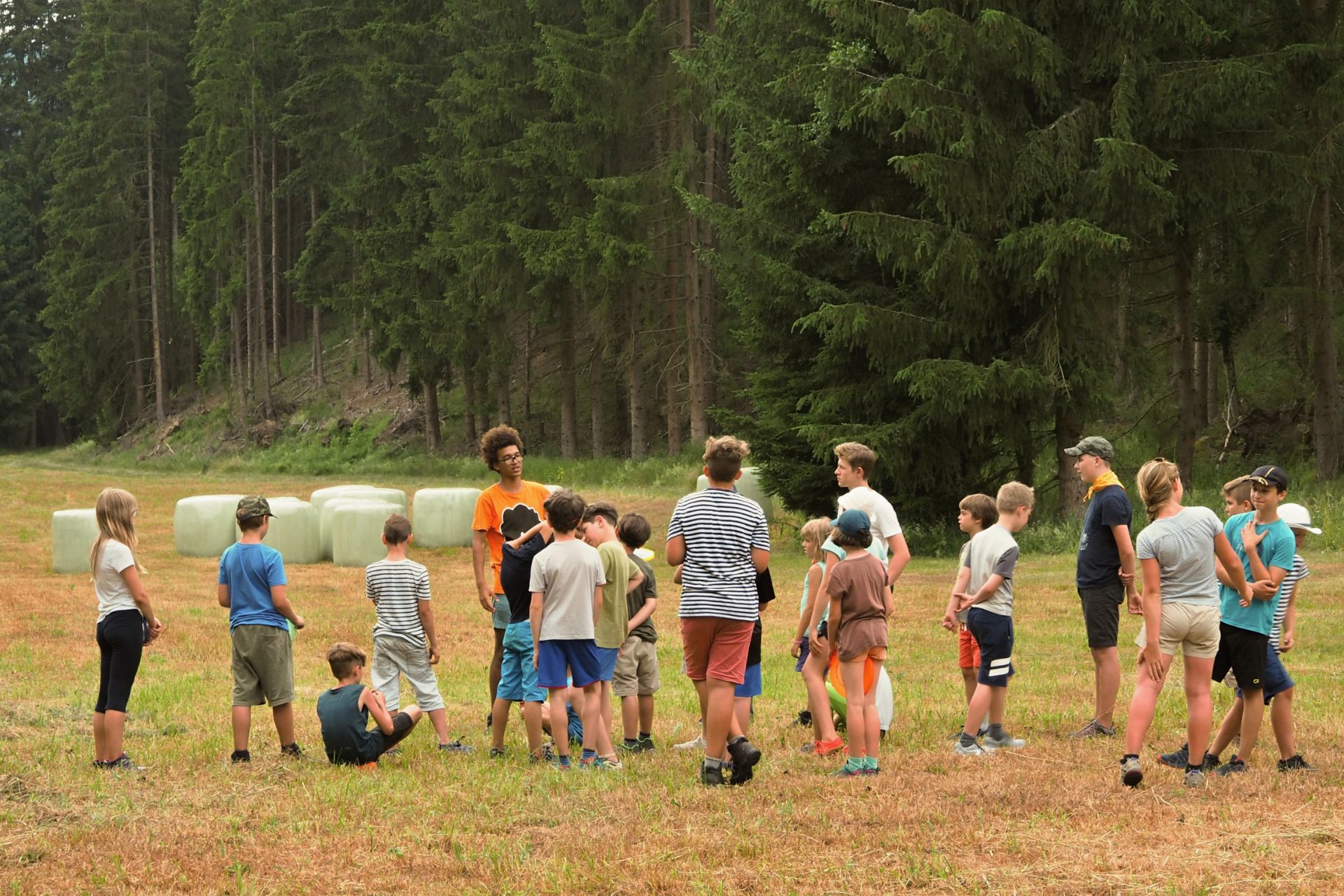 GEMINI tabor 2019 003