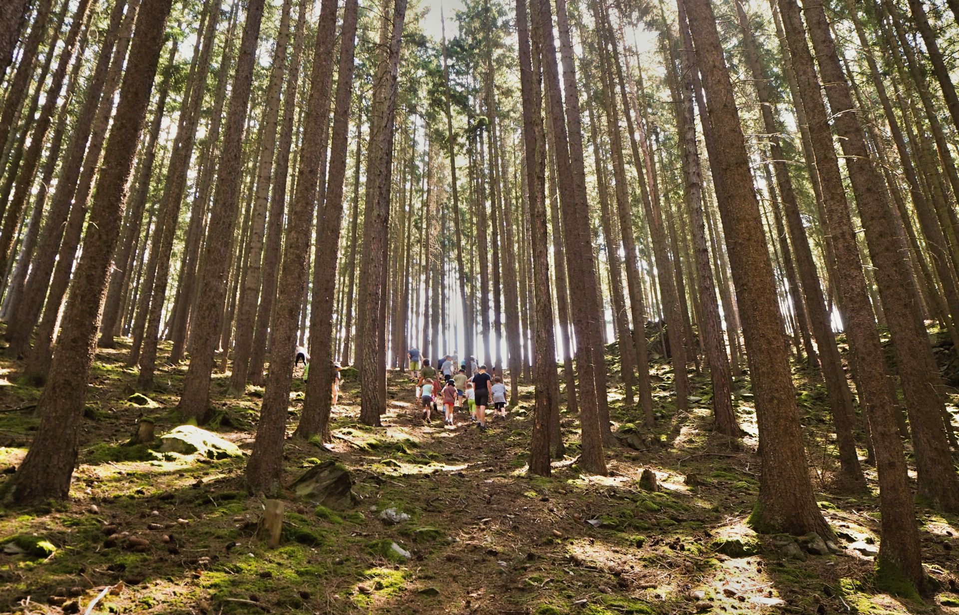 GEMINI tabor 2019 012