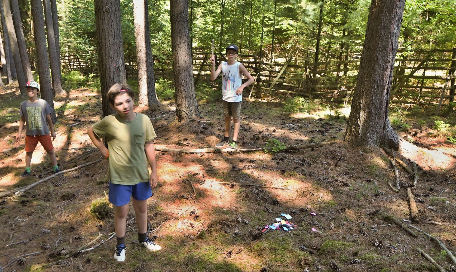 GEMINI tabor 2019 013