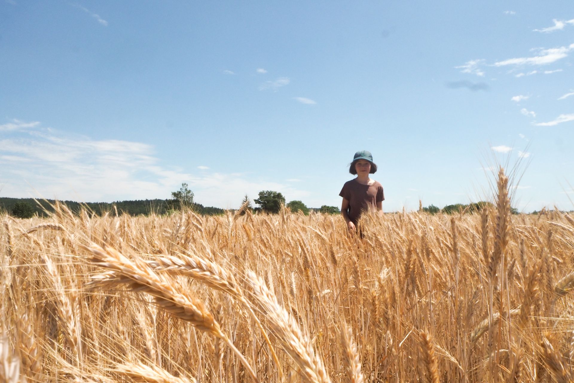 GEMINI tabor 2019 061