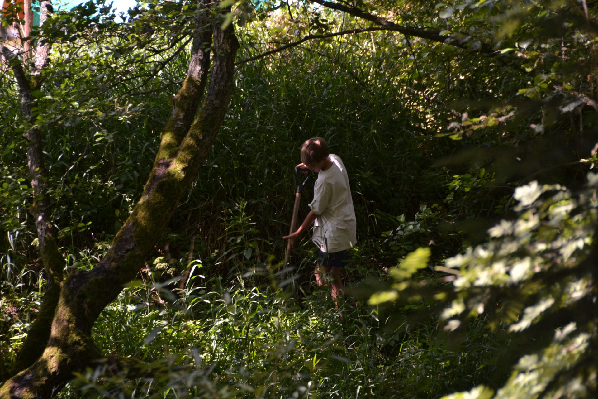 GEMINI tabor 2019 122